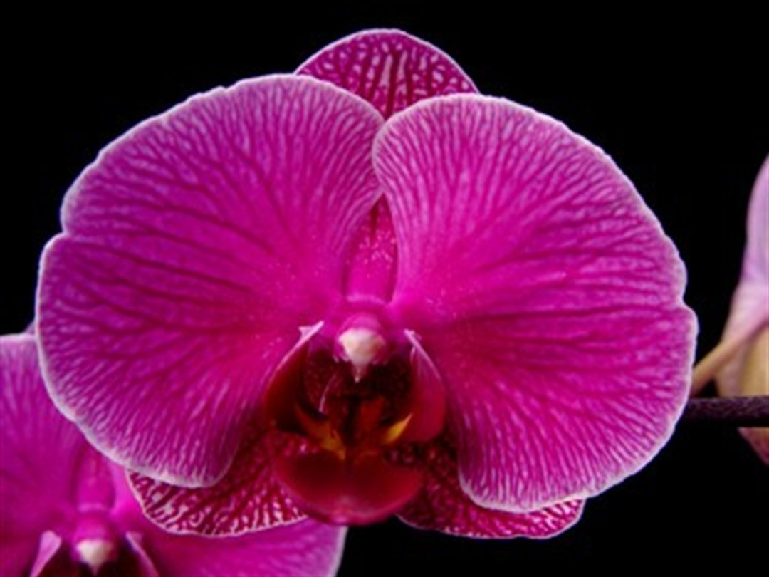 b57bc5fa-7a09-4766-8e7d-ae8231f7ab91