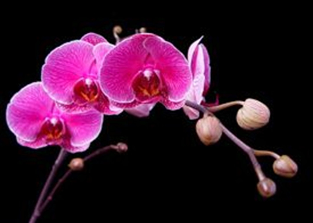 ea03d2fa-a729-4924-abb1-625264bb2ee1