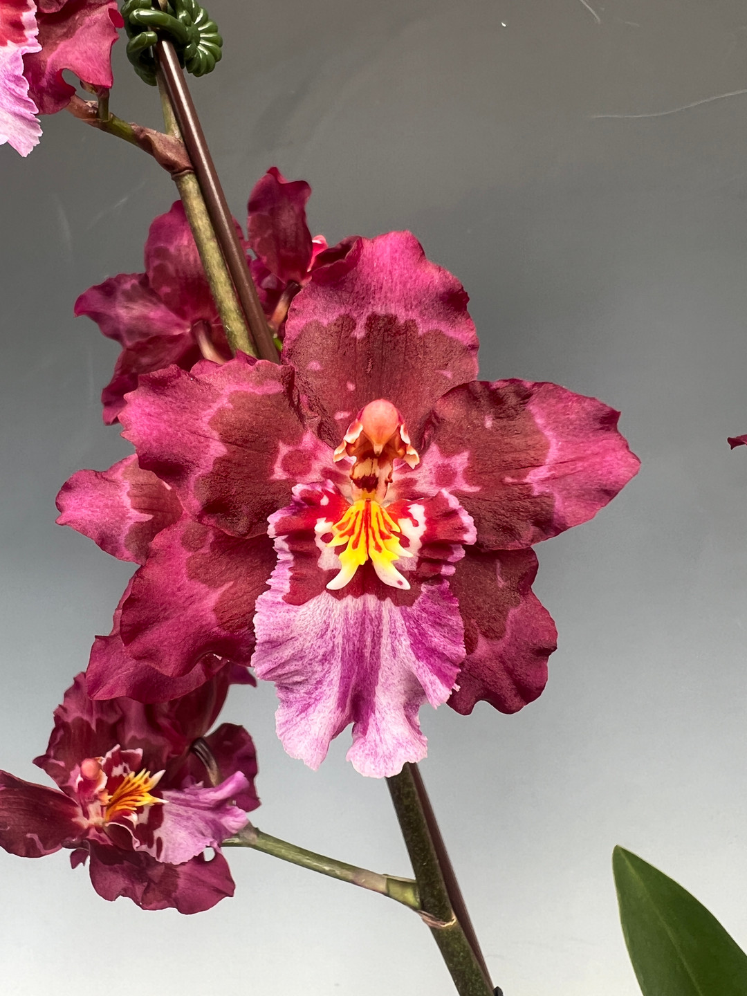 5041eb81-e1aa-444a-be62-6f3480943ca8