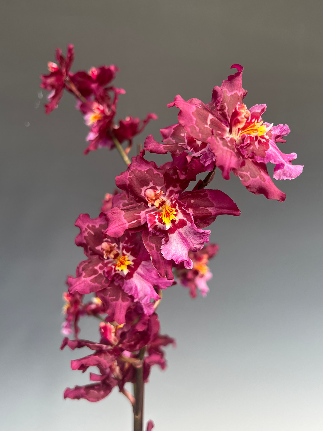 423a8b8f-600c-4087-8435-3d8cf5d17788