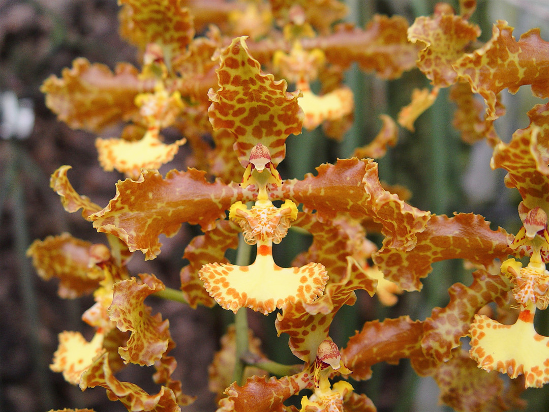 eef7f002-d8c9-4e65-a263-8a77aa771a7d