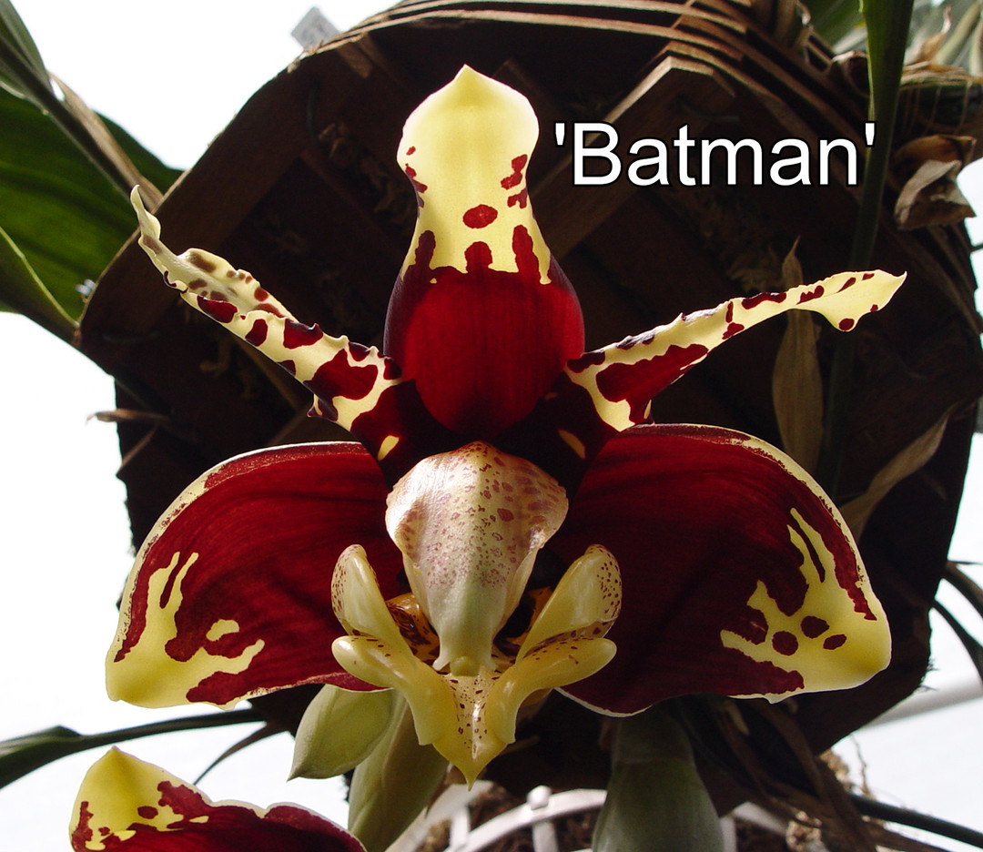 96e69583-1b56-4c24-b20e-9d48581fc307