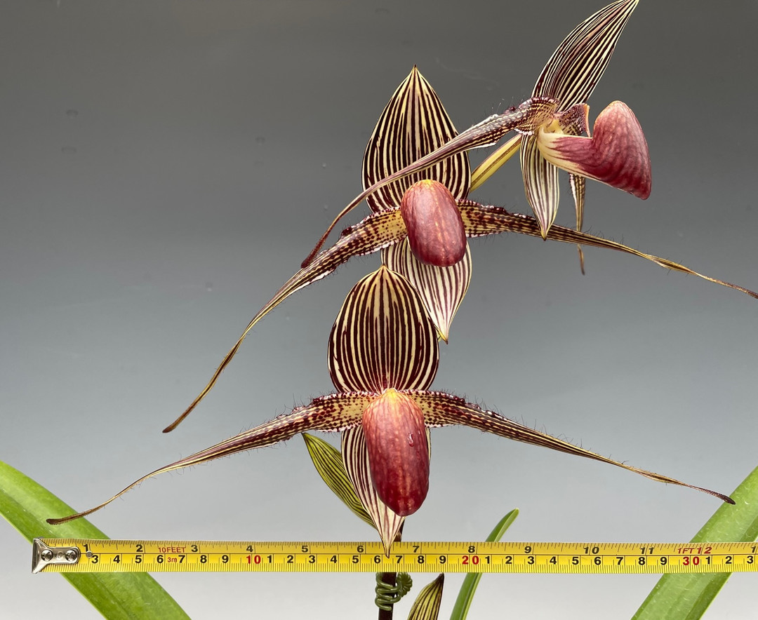 a6e9ff20-1fe0-4f6a-9c10-e9dc113532ba