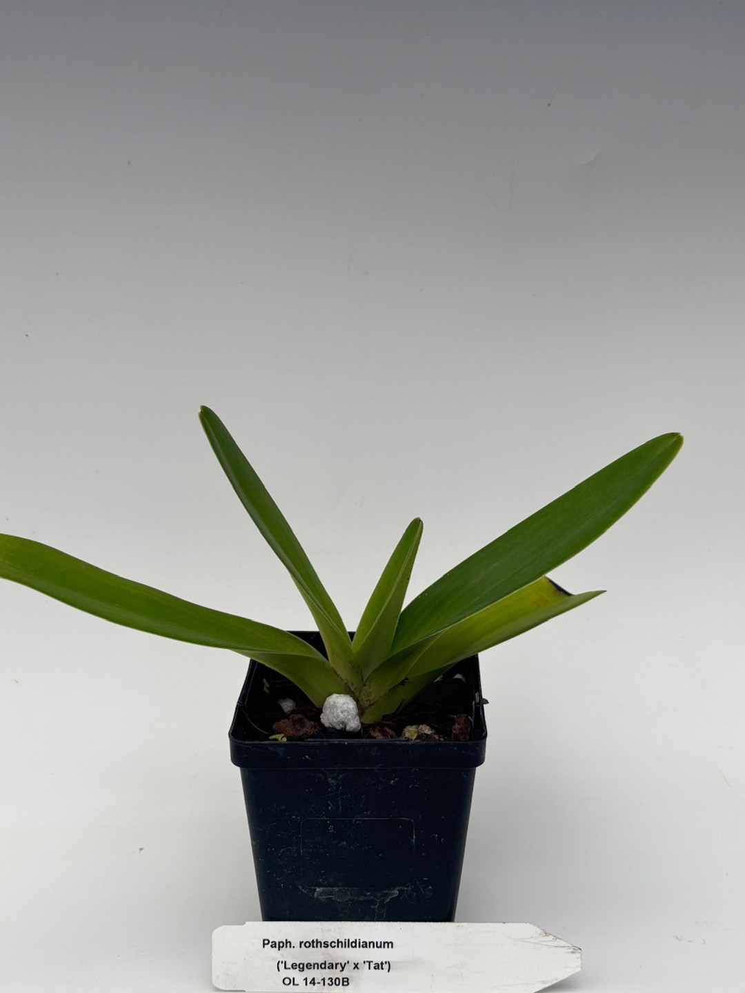 d5e3ba08-9672-447a-b210-951ecbcf6c24