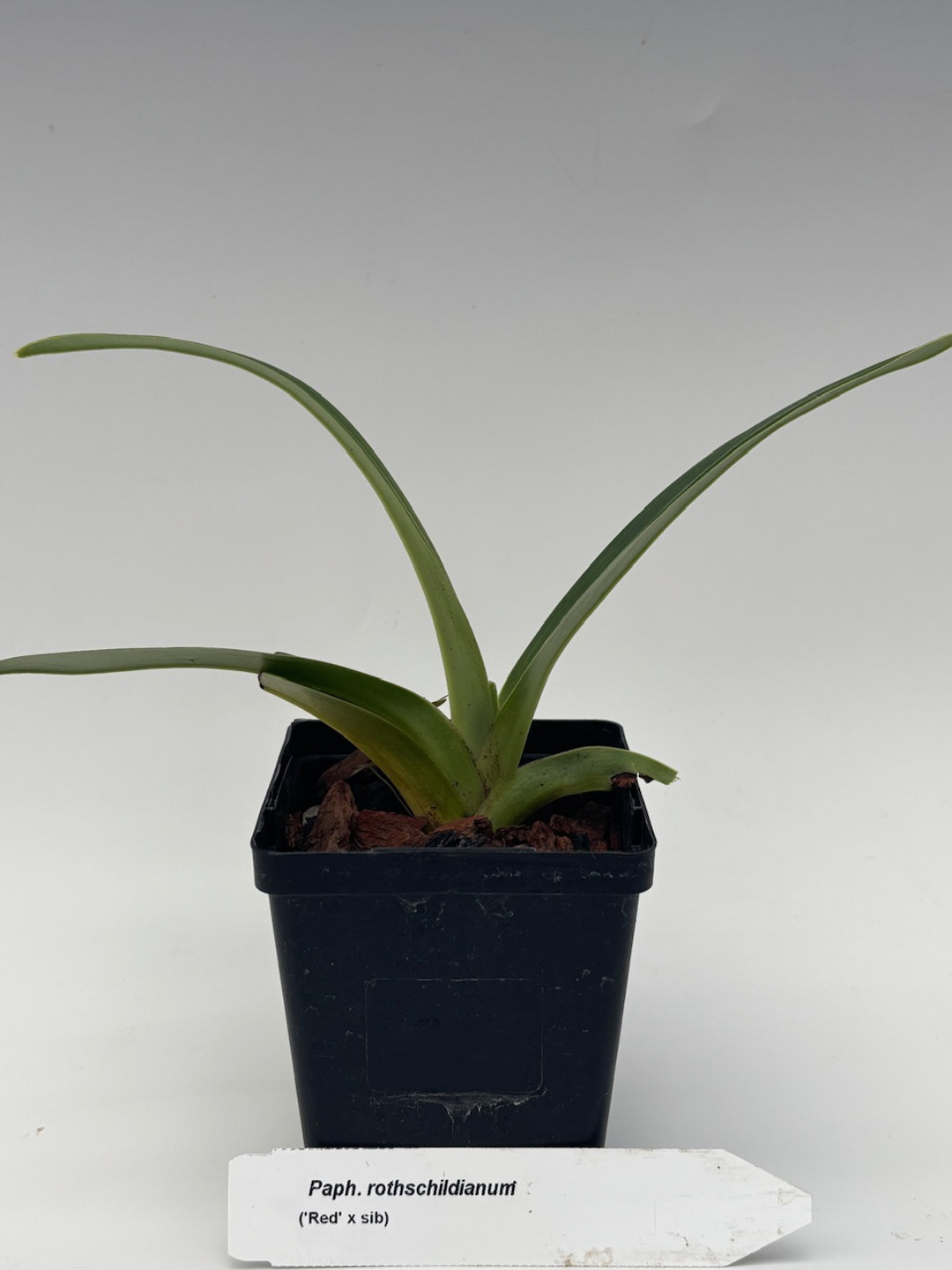 6df3608c-8343-42a8-bb8c-ab902b4cf99f