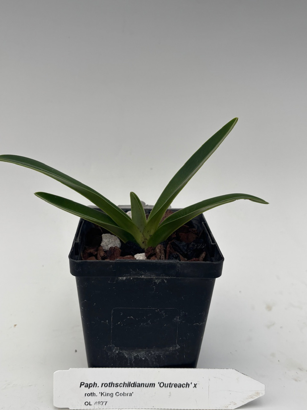 00337f70-7d43-4ac2-878e-cc4dbfd907cf