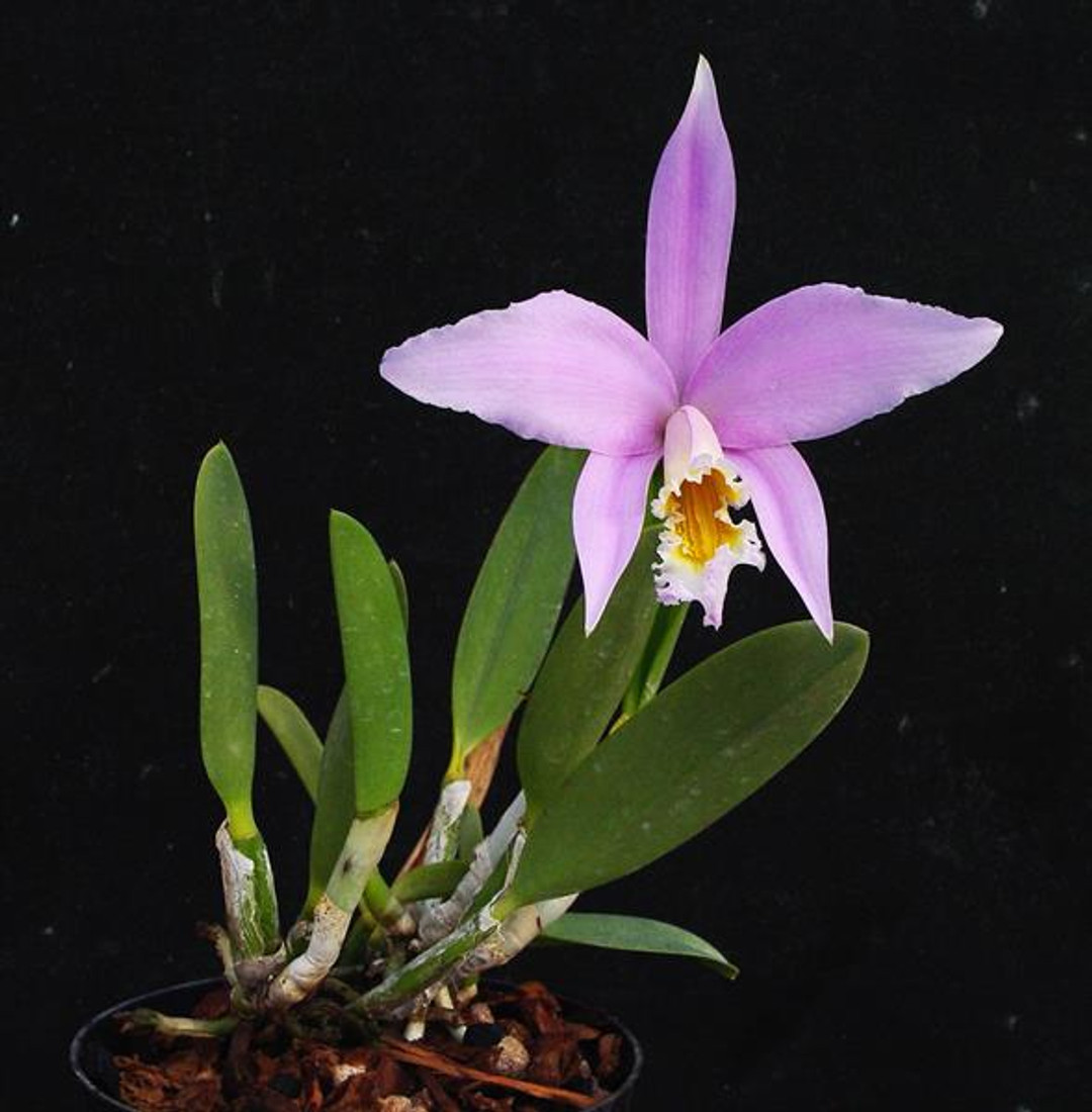 822a00bb-ea0d-41df-bf77-8332b1c4f153