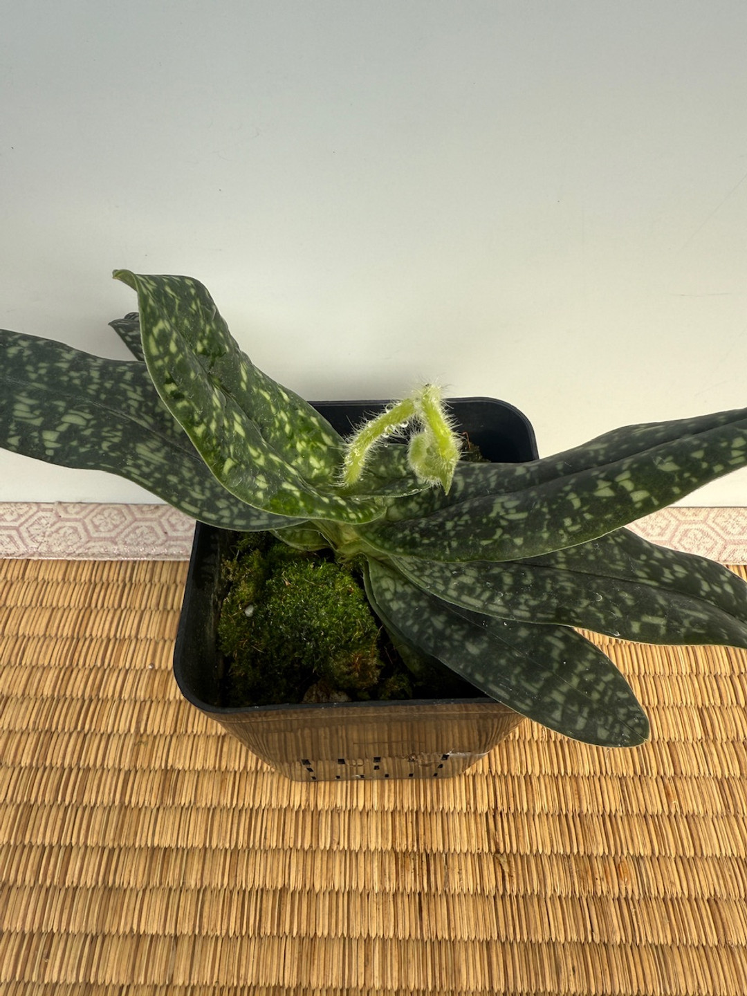 ba09fe5b-9ede-4490-9656-cdc2ab28626f