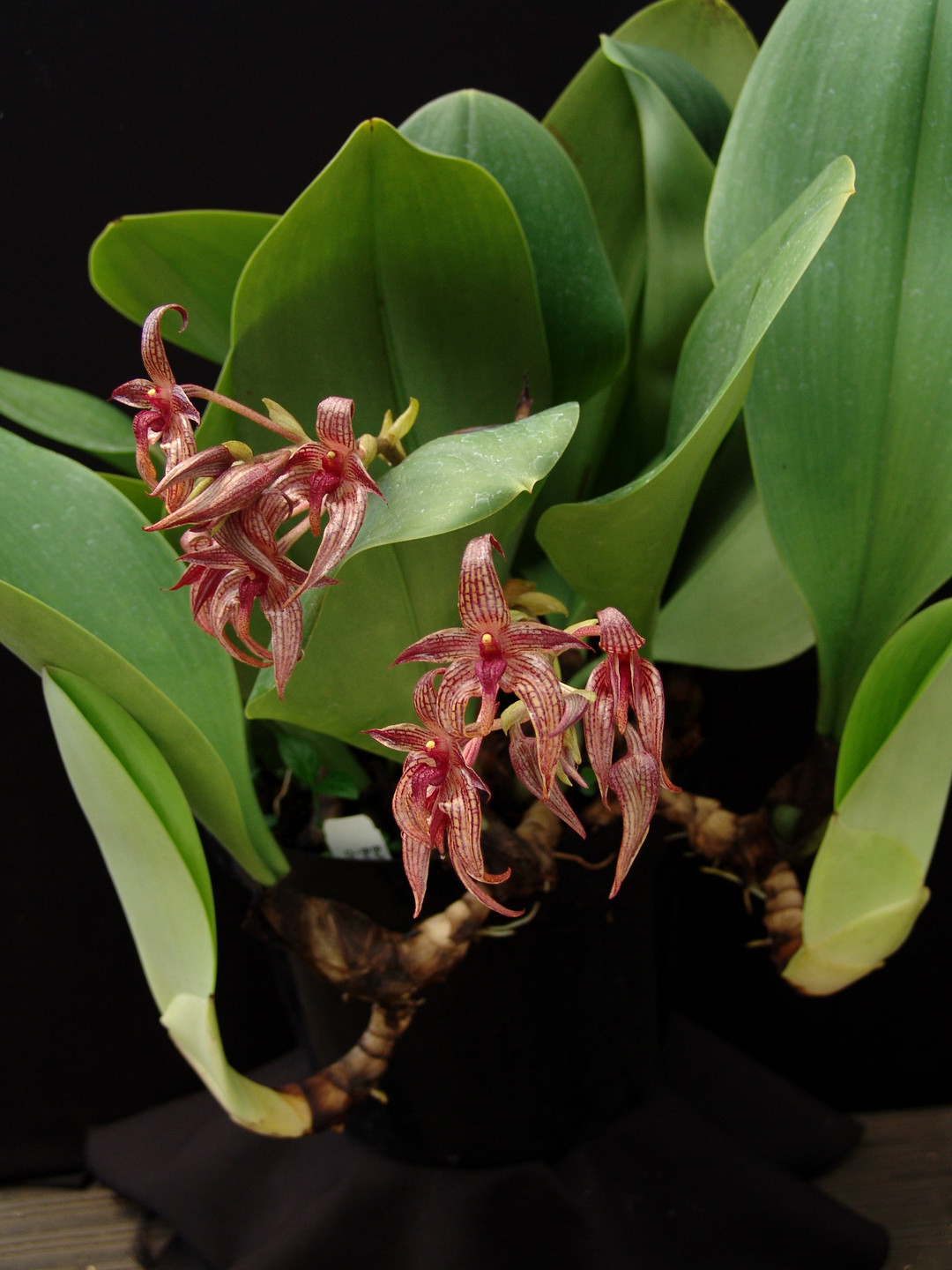 6b42e993-2b04-4561-a5cd-111a0f3bb514