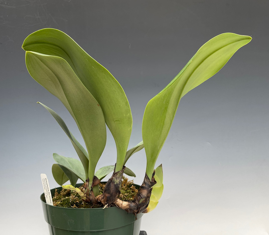 8951cb41-3381-4fb3-84f3-d934f544c83c