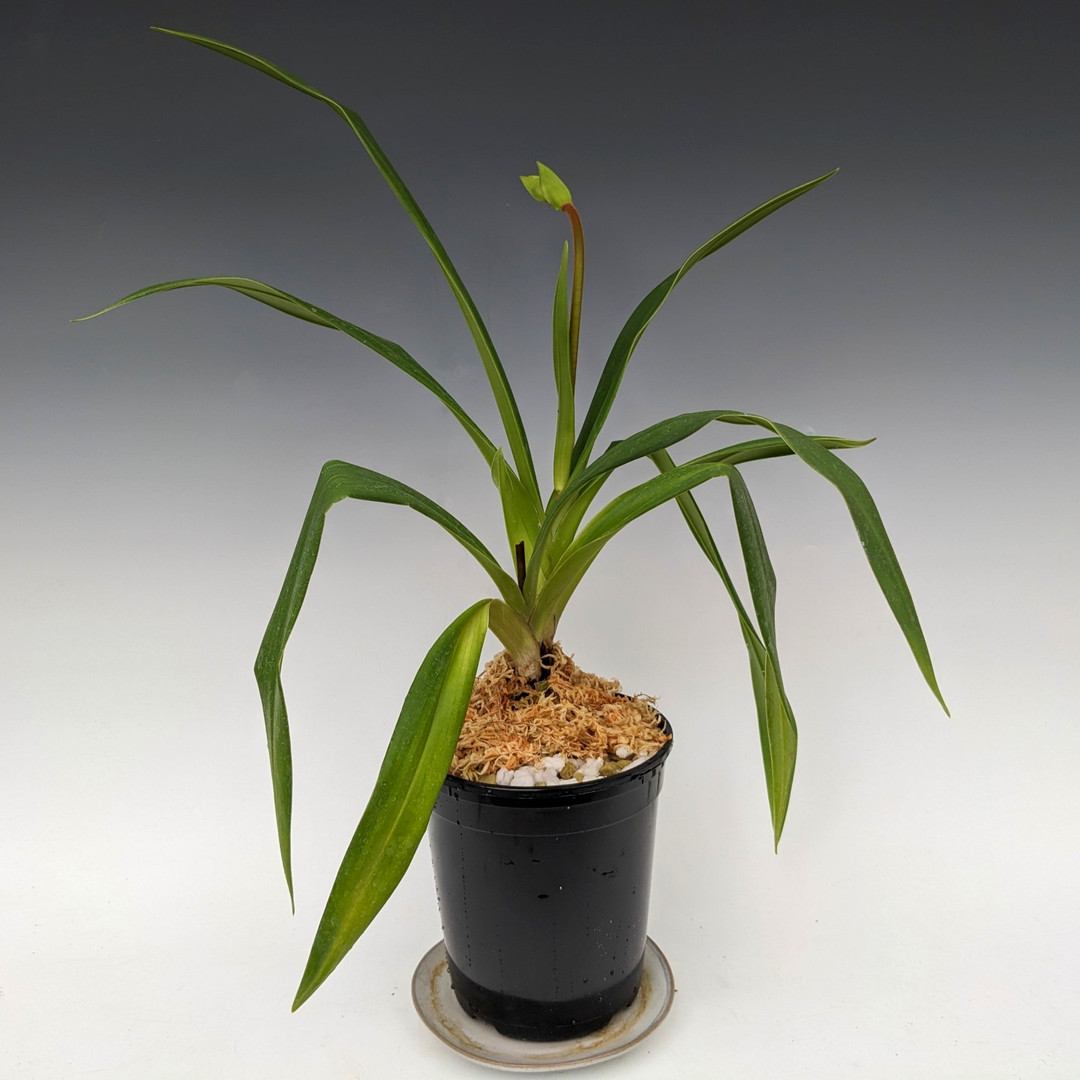 23041034-f481-4de3-a11d-a9f9464ad8d0