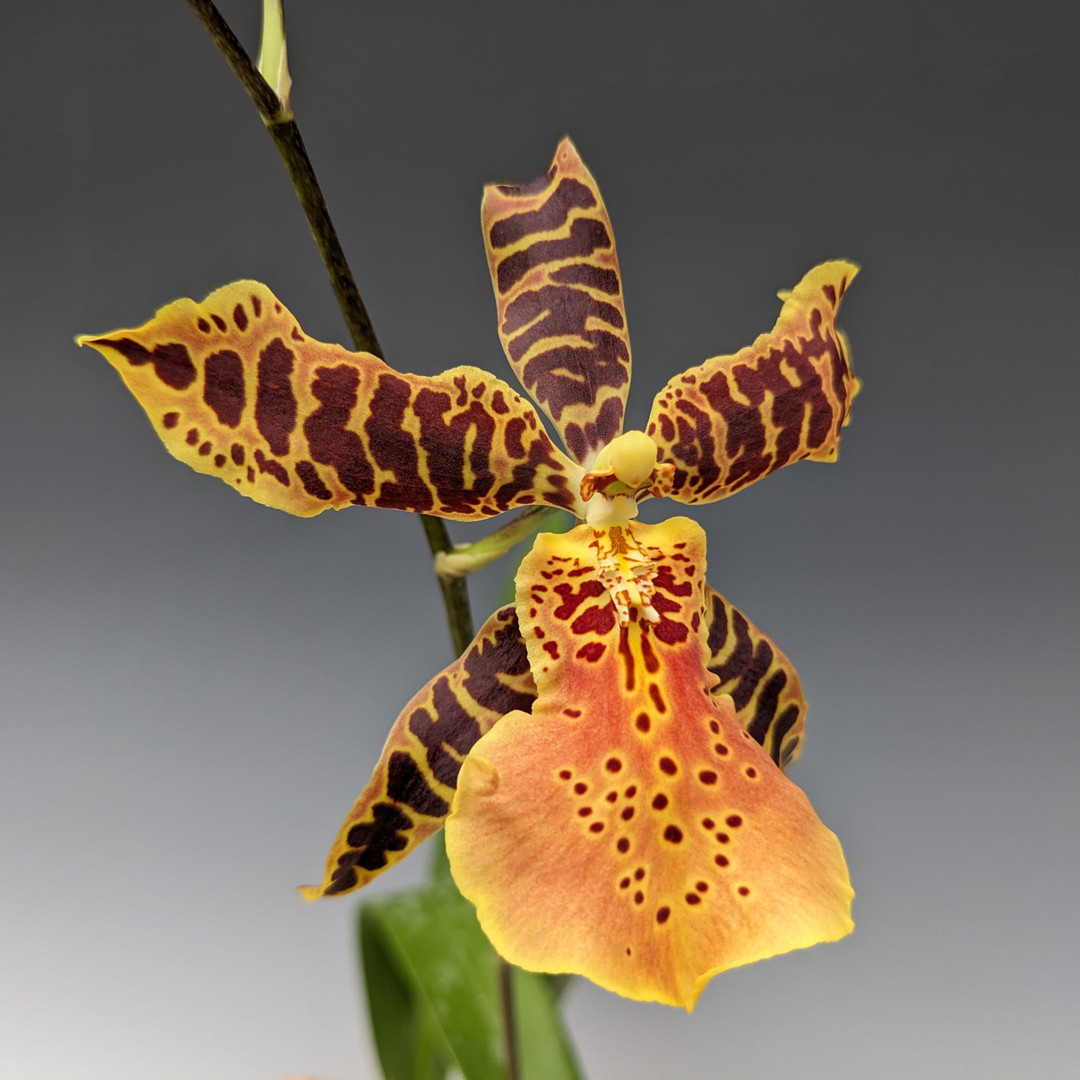 769b2e06-bd67-4466-a1c7-