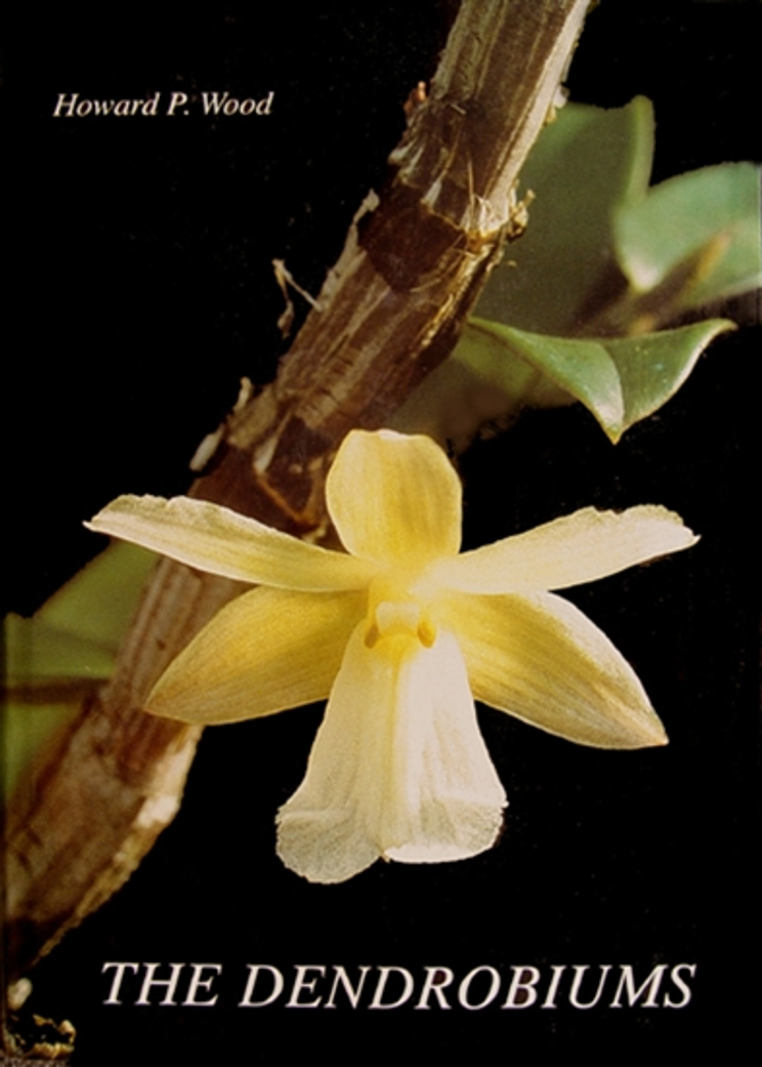 洋書 Orchid Species Culture : Dendrobium Orchid Species Culture: Dendrobium (Orchard Species Culture