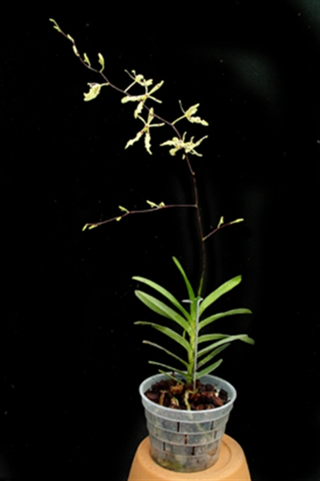 37d25554-fec9-478a-a018-d04adb2012ee