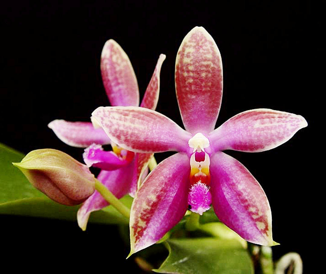 e4c2fd72-65a0-475d-b8d0-ffd74be75ffe