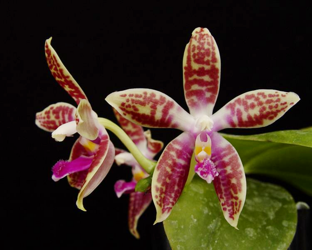 9fd58eb3-f133-4ae0-b322-ea4746daaa5d