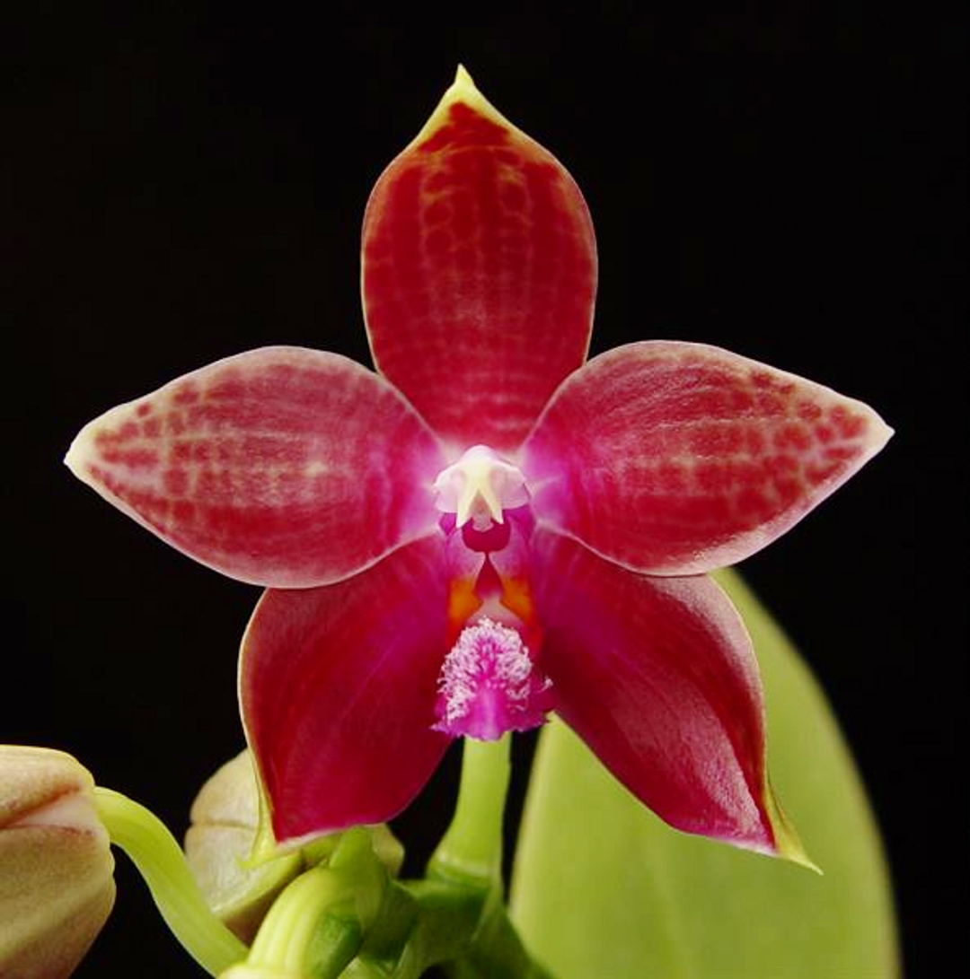 5aca6a05-b1ec-417a-b63b-f6c63c421804