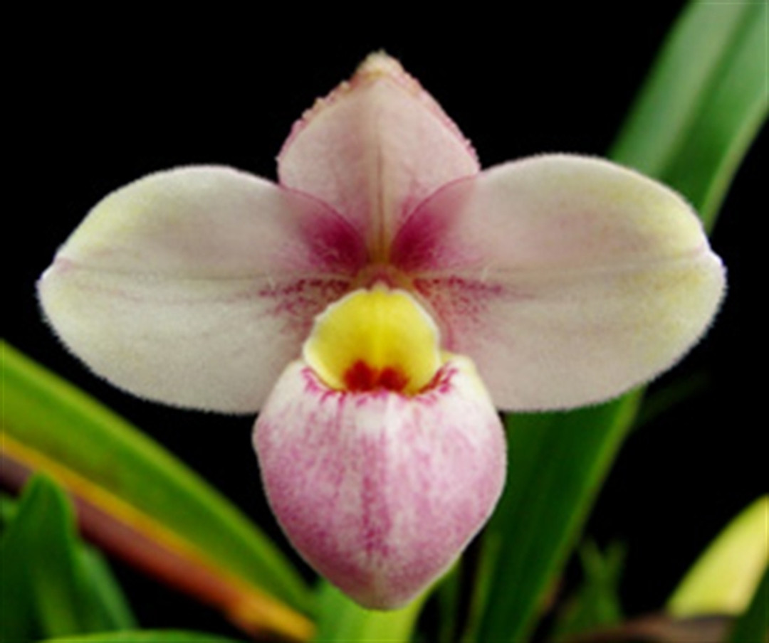 29ed1fb8-ae37-40bf-9425-a751914a5ee1