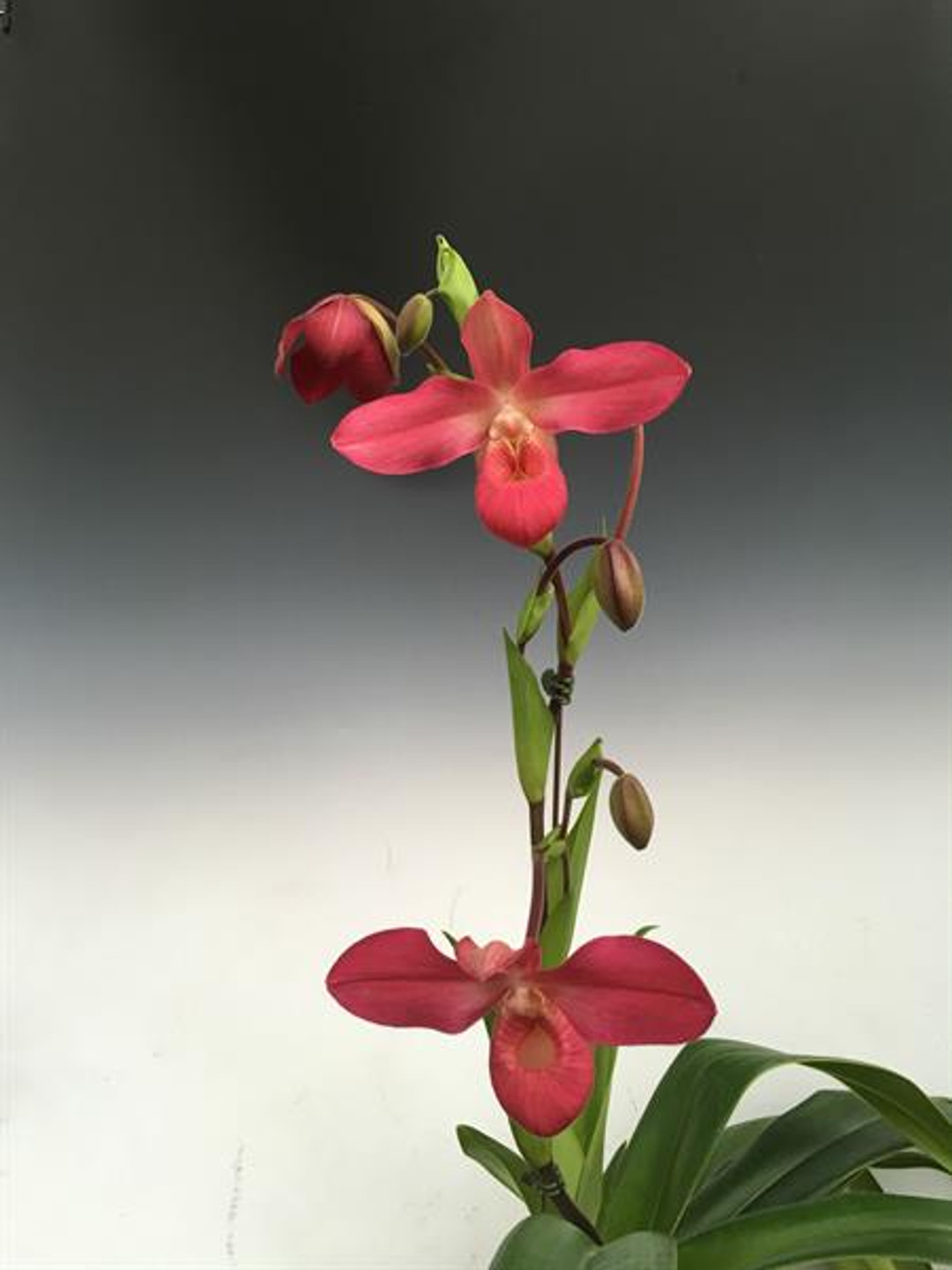 b9490f25-0ae4-4bbc-a88f-4cda9ed56ee3