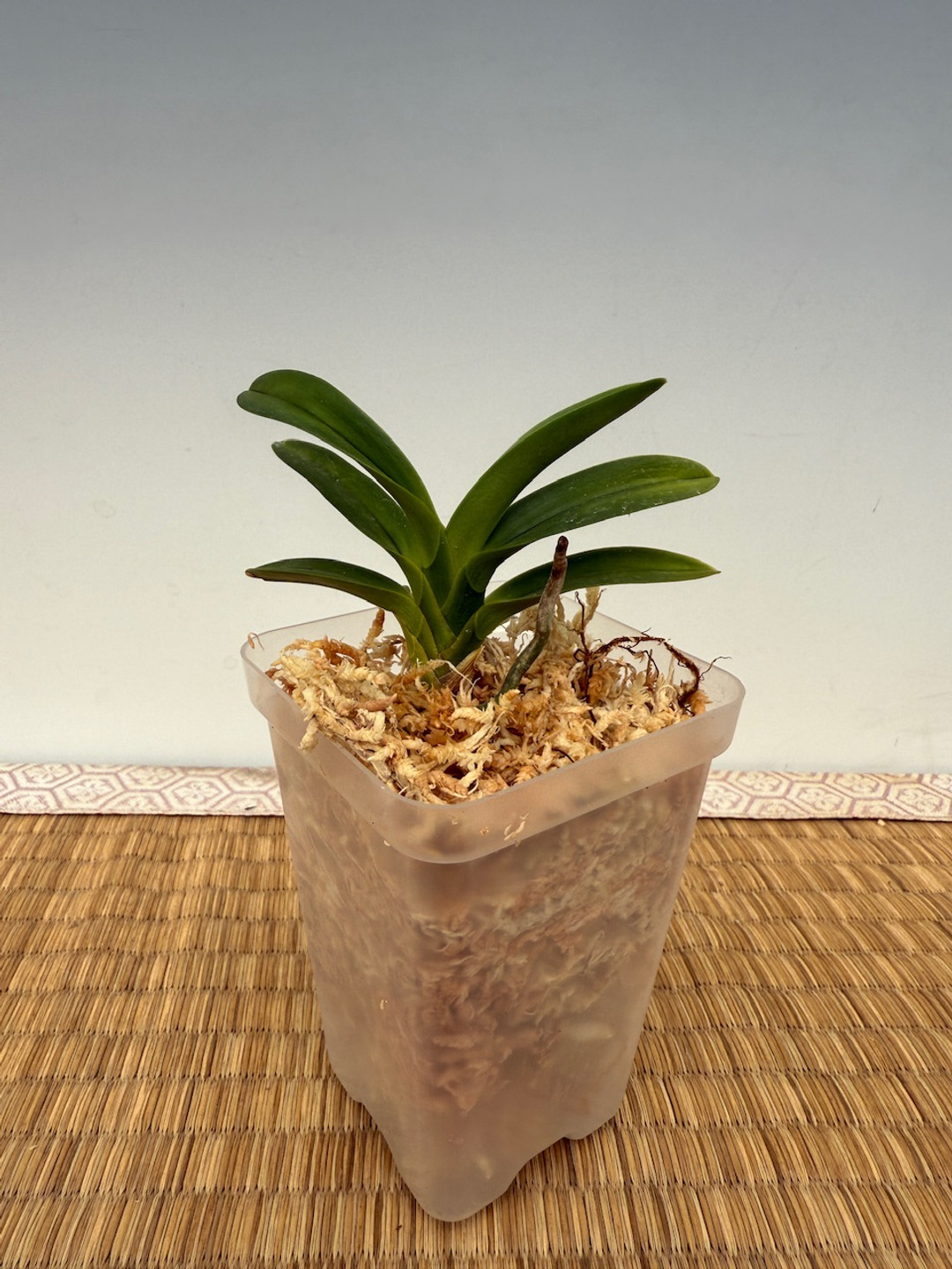 5dbfac9e-30a5-47b7-b017-b3e1948f5d24