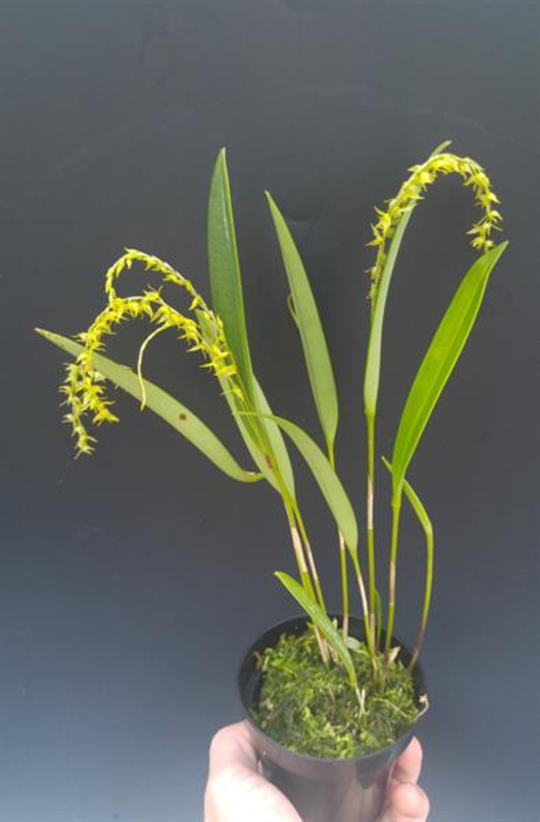 26f2e71e-7275-49d7-a9c8-8d3ca4815478