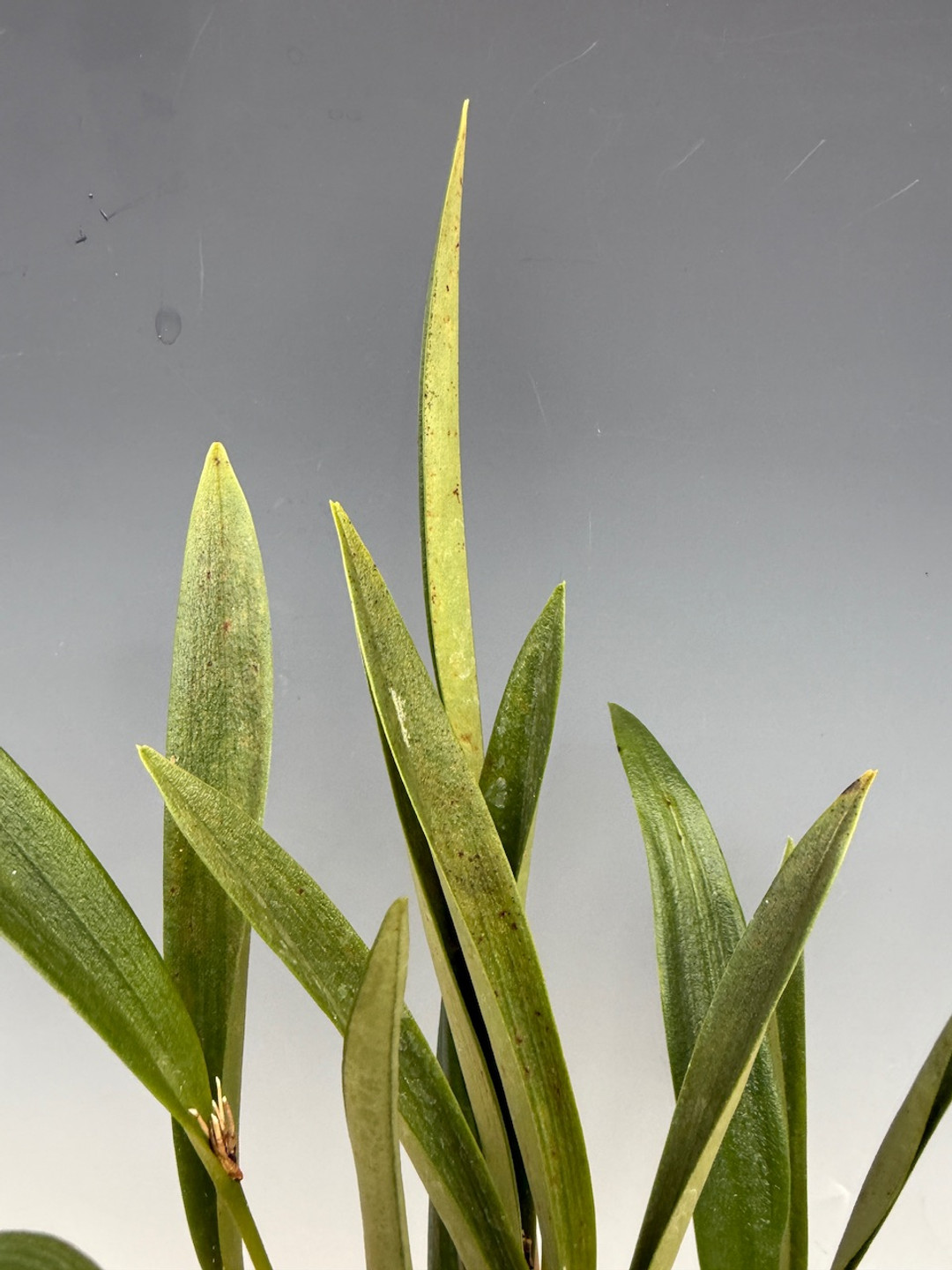 21820f92-d5e5-4d08-b976-02c6507ed9c6