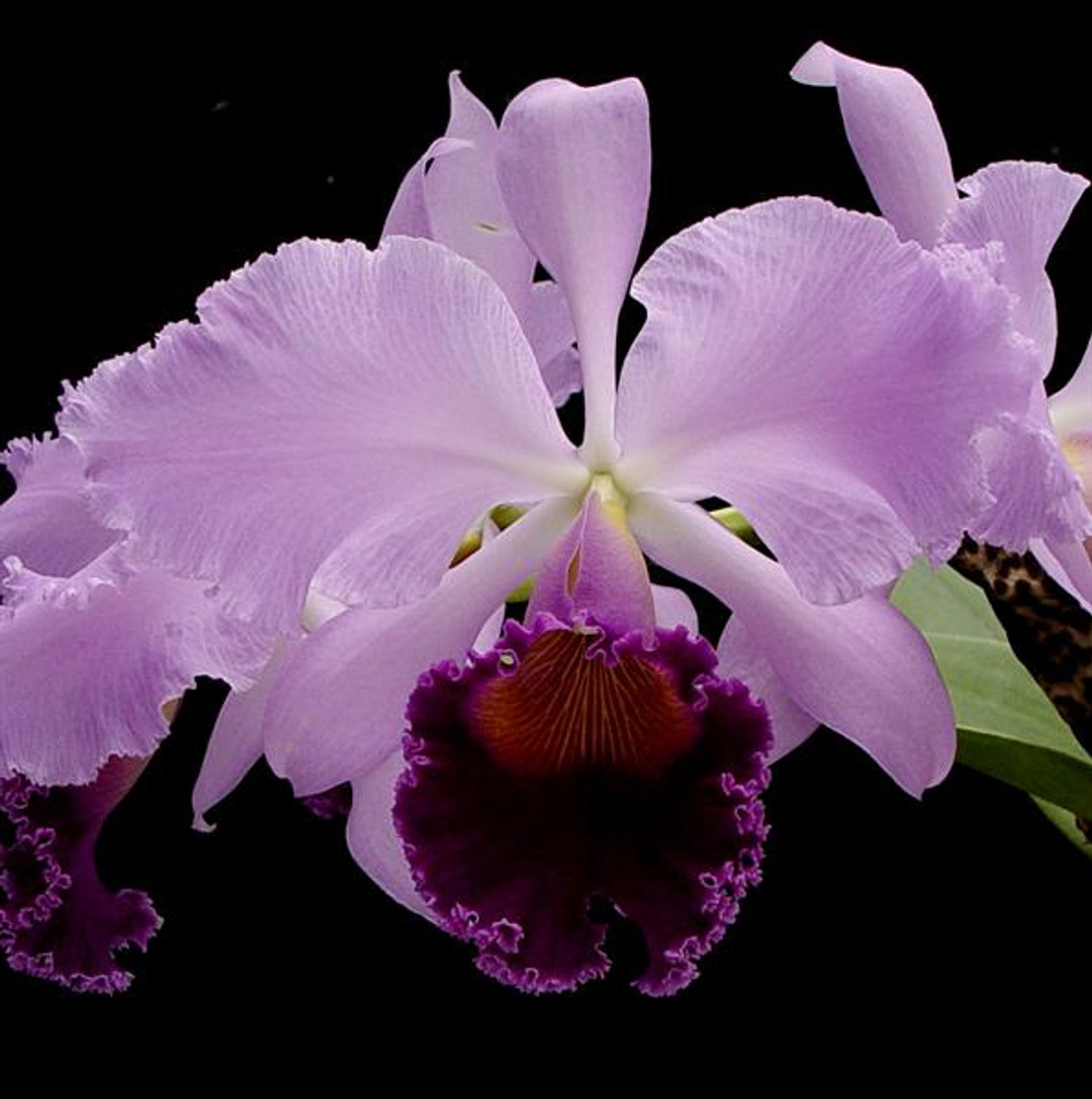 e6d97805-20bb-44c1-b49b-bc95f74acf3b