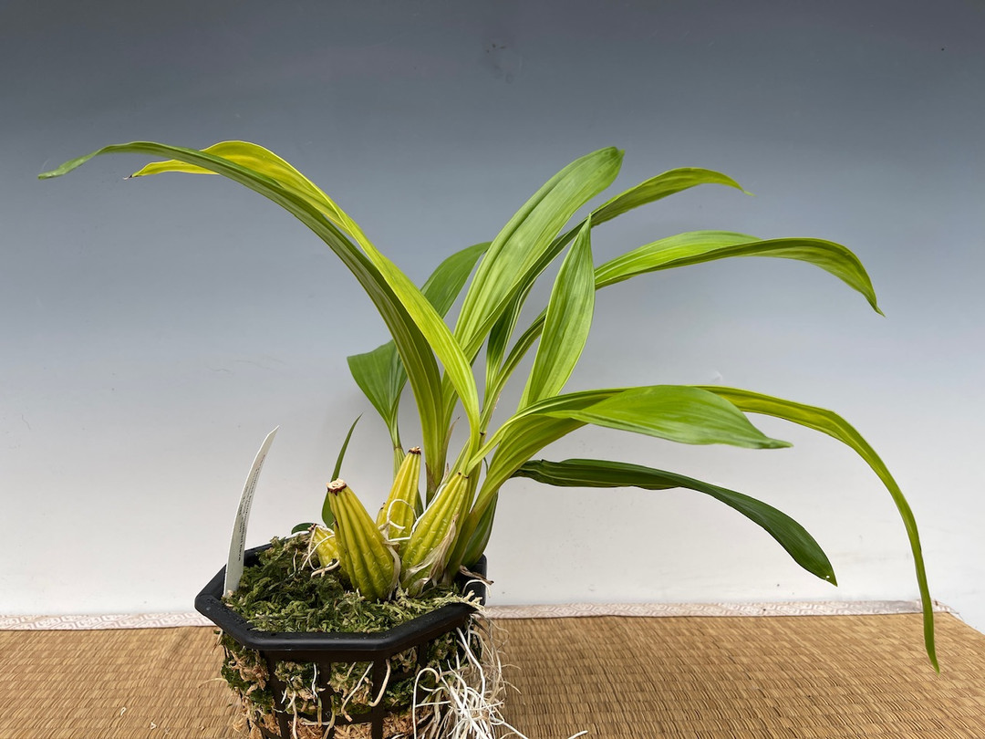 d9f168e7-3a15-463c-ab1e-f09f4c9d08d9