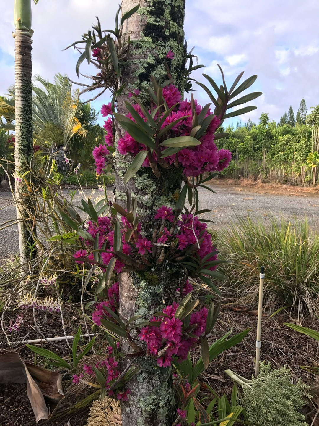 a4e686c1-4c27-4137-b806-2e1cb212a99a