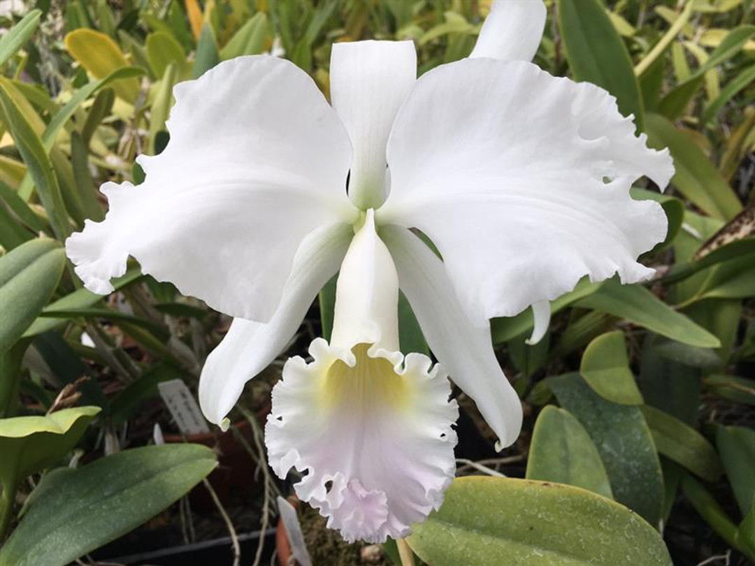 1137bf11-9af0-4ab2-99e9-5134b79cd05c