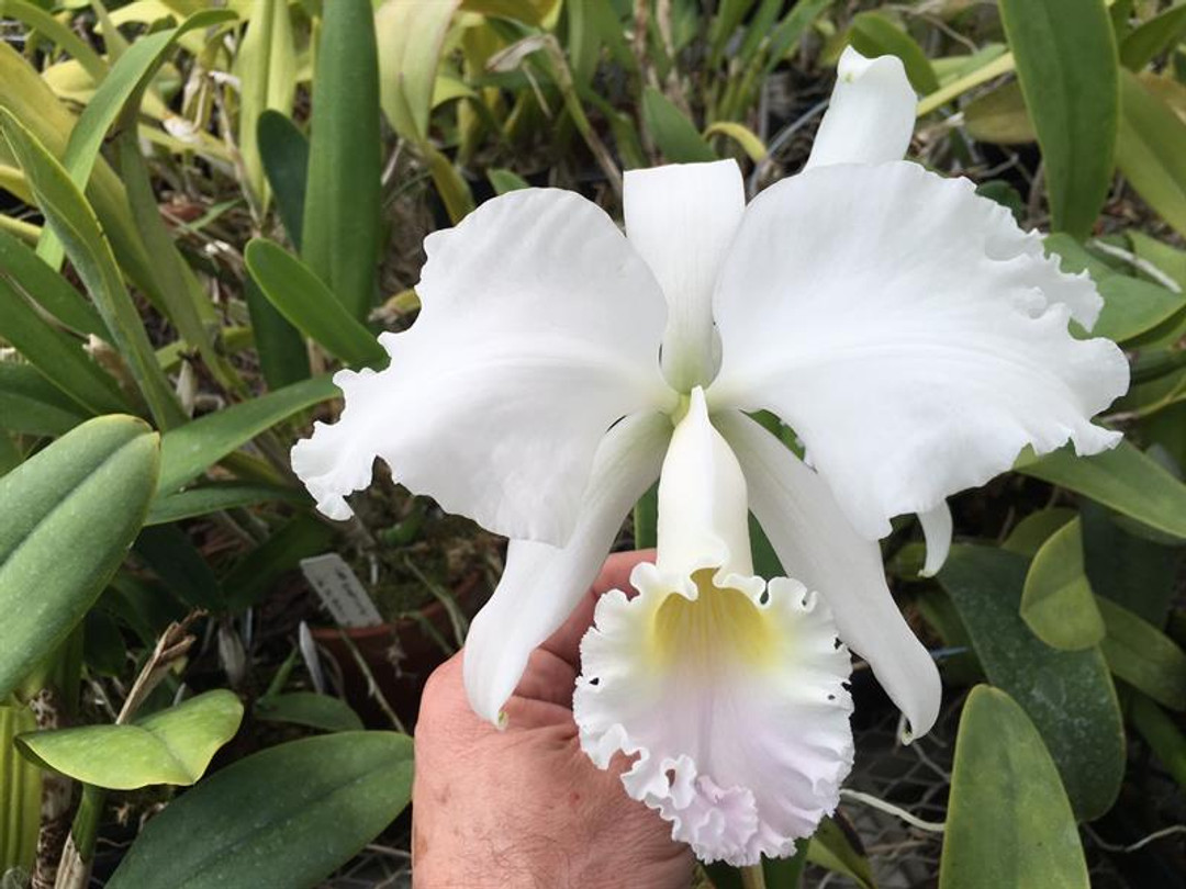 8397f560-d2e2-40cc-9a94-f9a6284f4db1