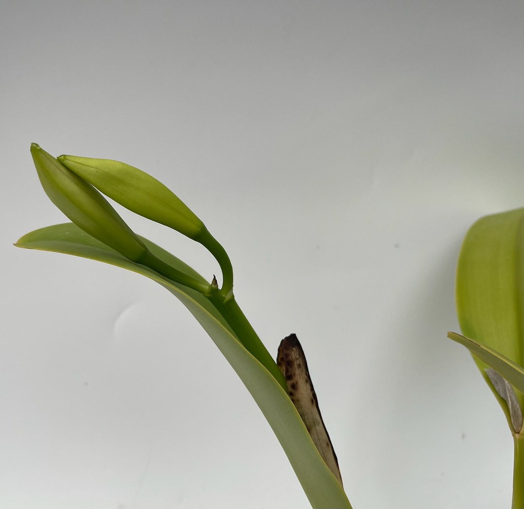 9f69e158-30f5-4921-bcd5-f169df16ae32