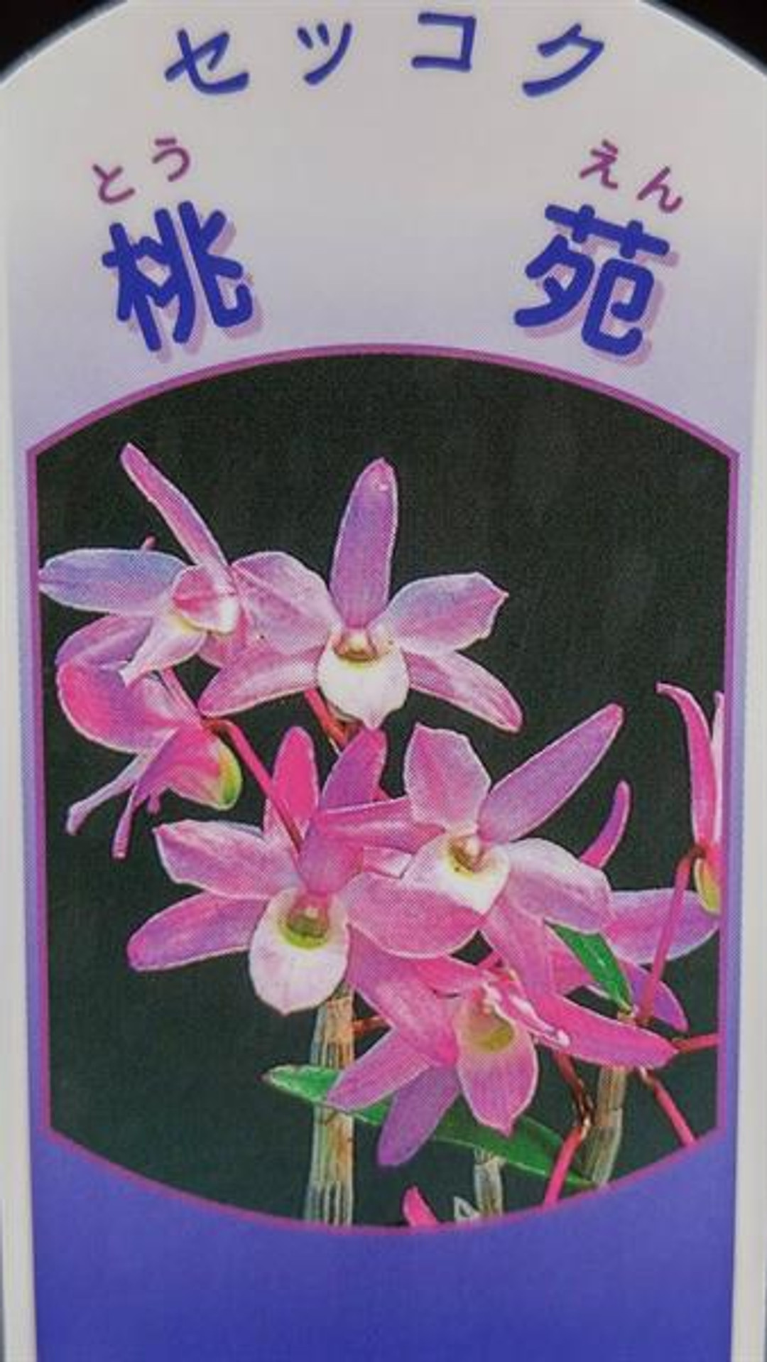 a4aa1ad6-b2af-43f6-860a-ea4f05e745f9