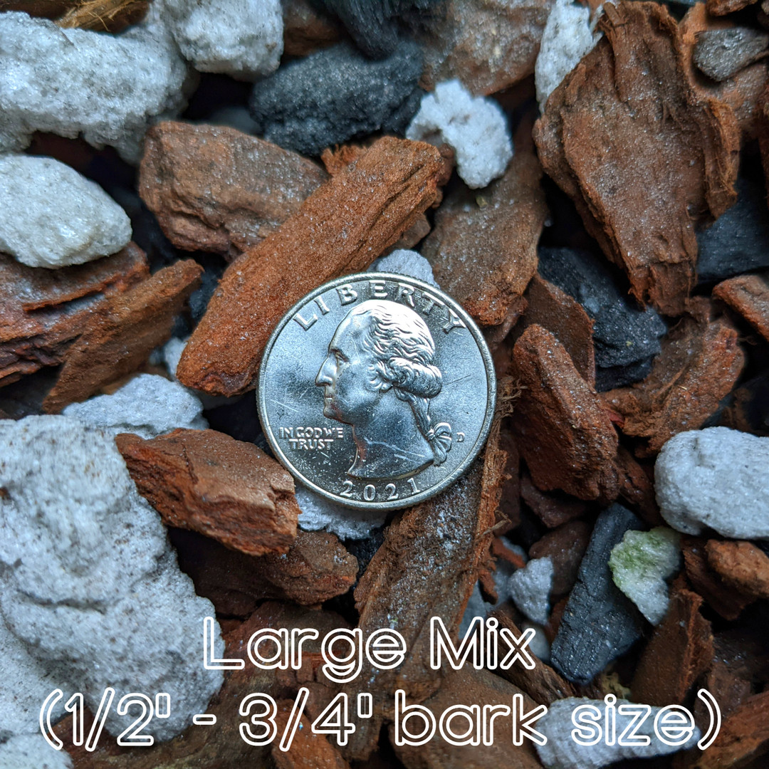 Barkさま Traditional Orchid Bark Mix (Kiwi Bark - Pinus radiata) - OrchidWeb
