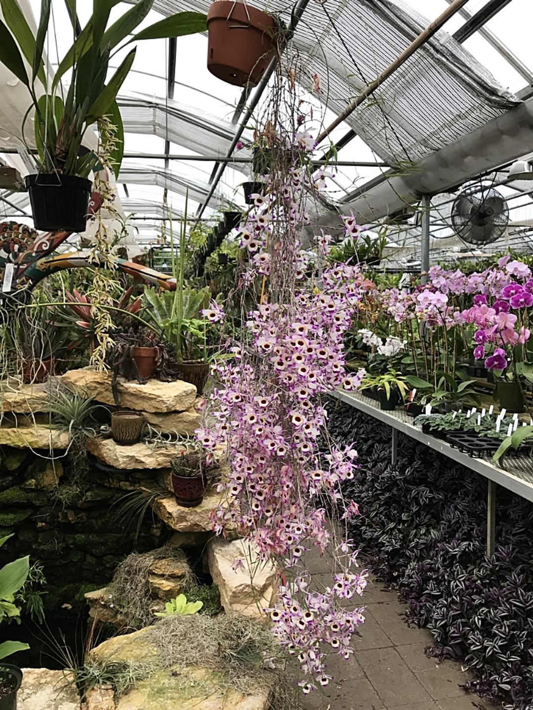 4278d334-3496-4856-bbbf-6562dcd6f958