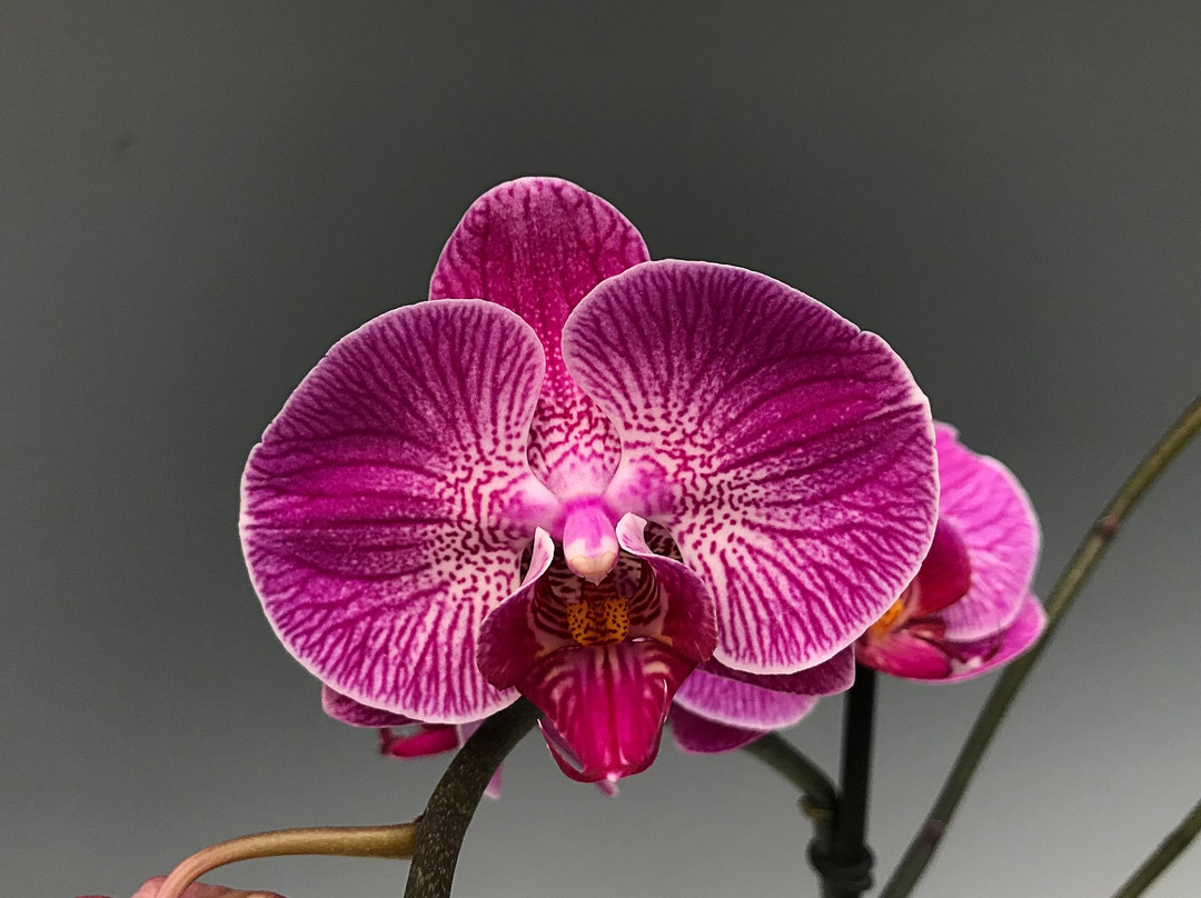 5ee2bafd-8823-4cc6-8237-9c2ea33b8b84