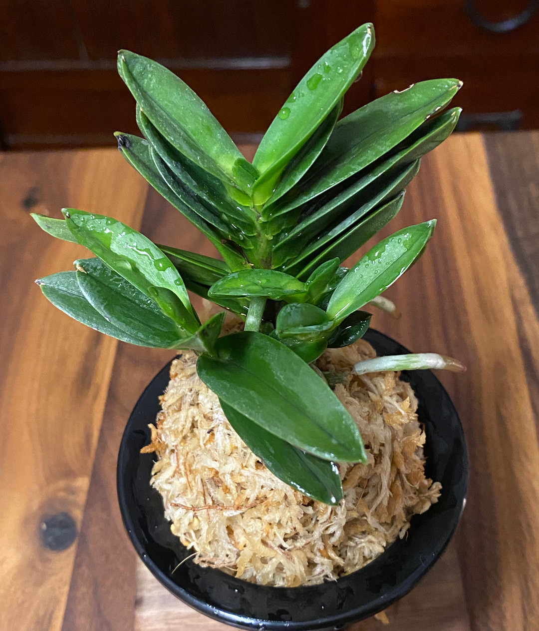 ddb6c1c8-34b8-45ad-8540-92f4a0d26bfd