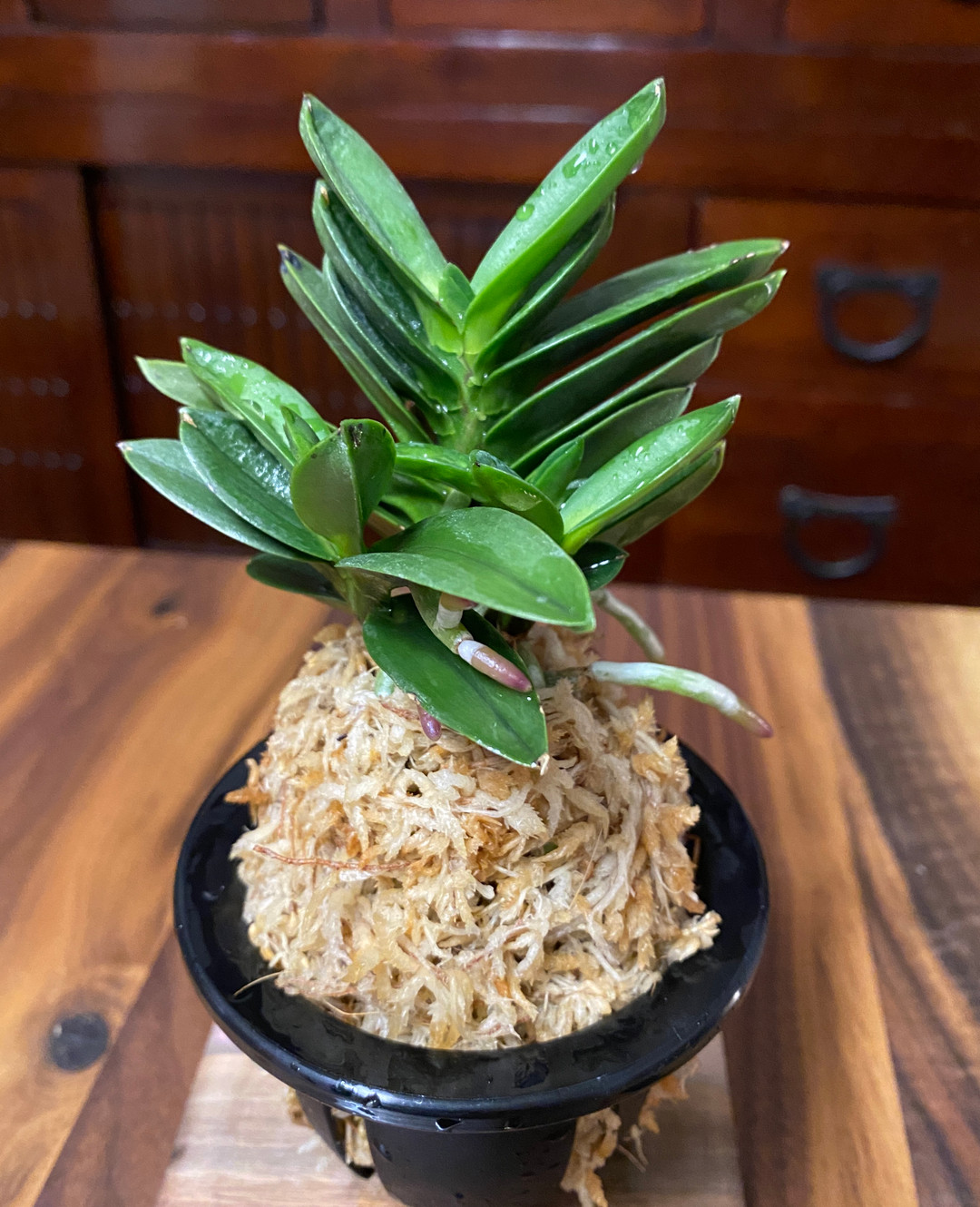 9f309b3f-664d-48e7-8f7f-b807c5e85e79