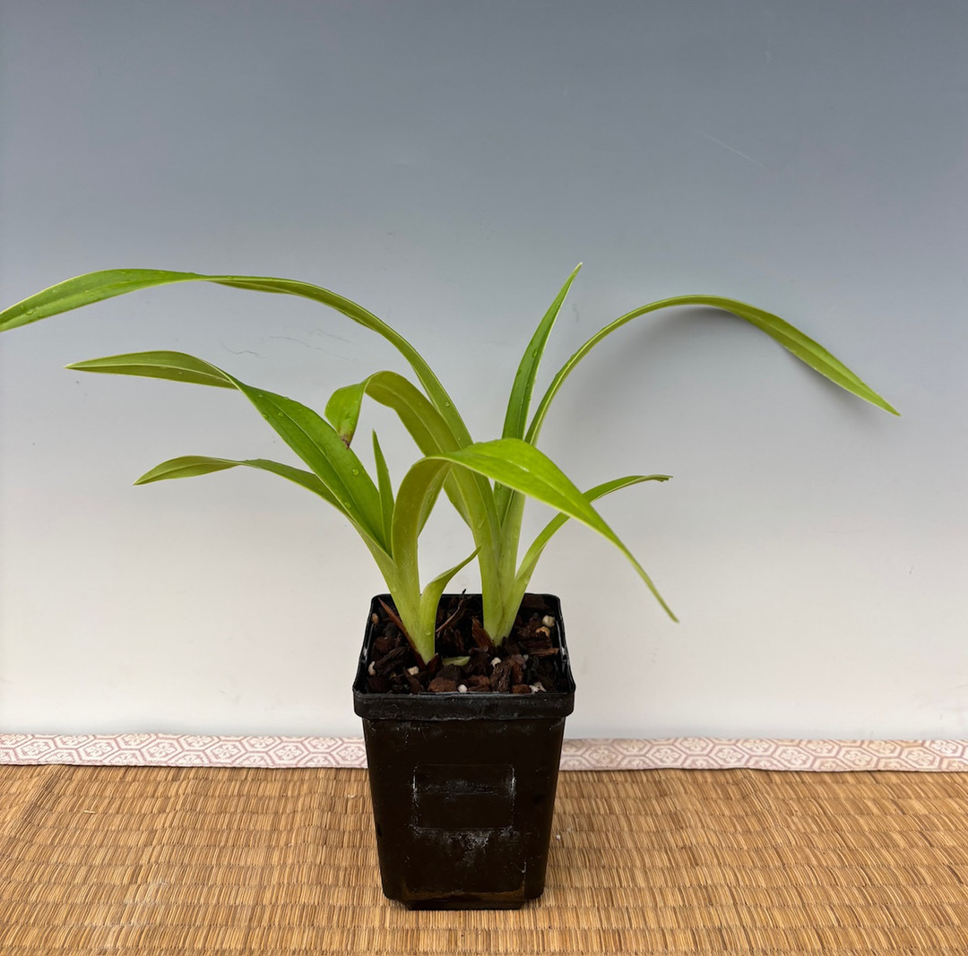 5f9eb891-8ad8-4afd-8944-59b4c69019e8