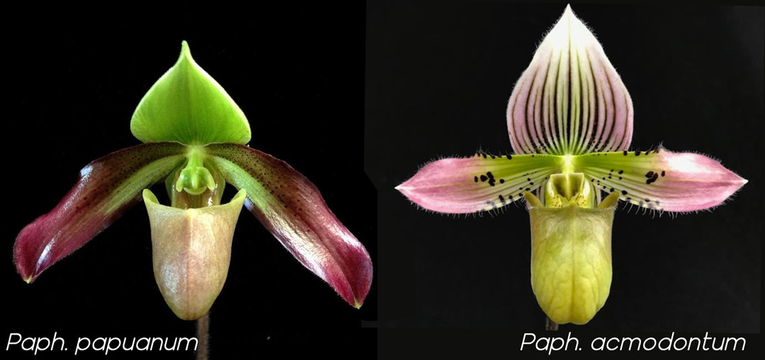 8c31e1b9-3c31-4dfa-ab51-5d6bbab495f3