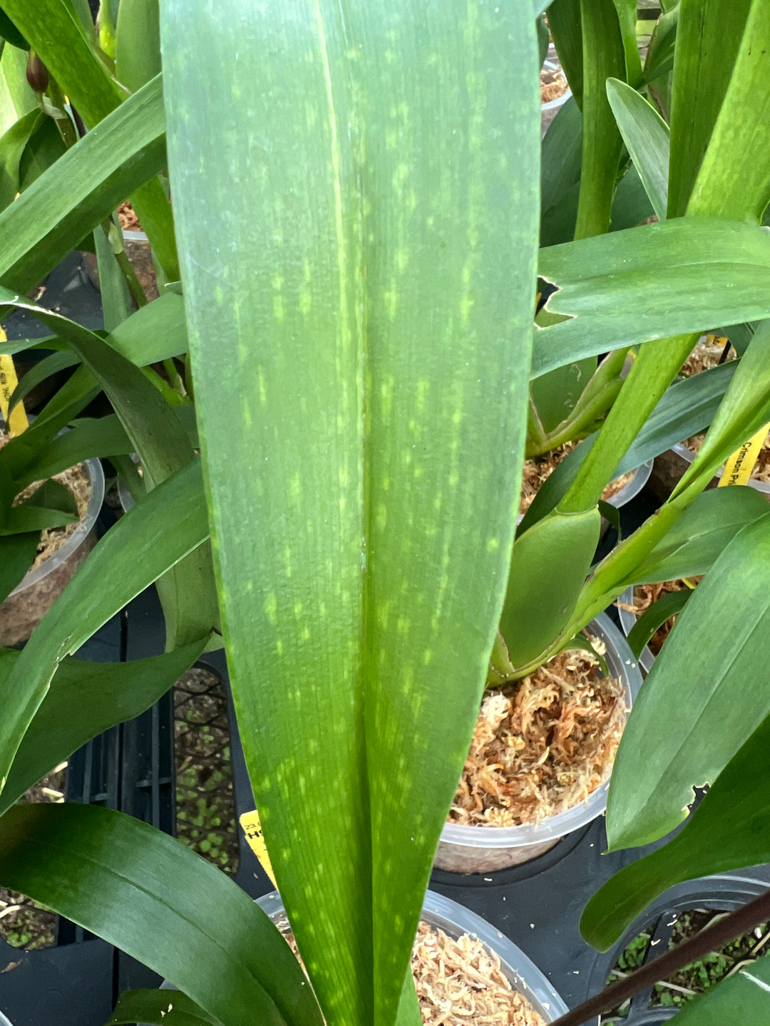 8a1dd296-c1d9-47e2-9013-2421a108f526