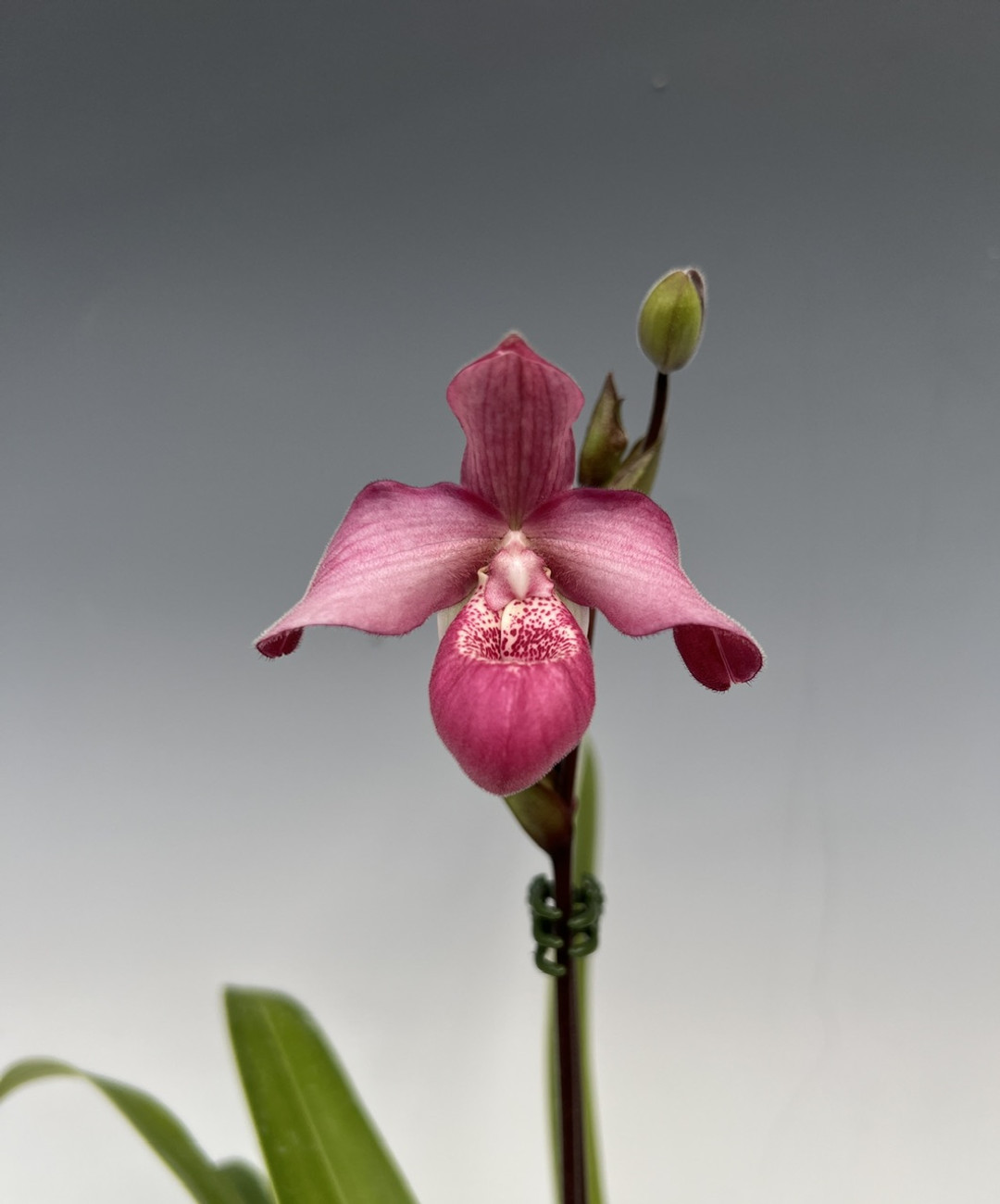 ab638a0b-8496-4c75-bf7c-17d76dbb9053