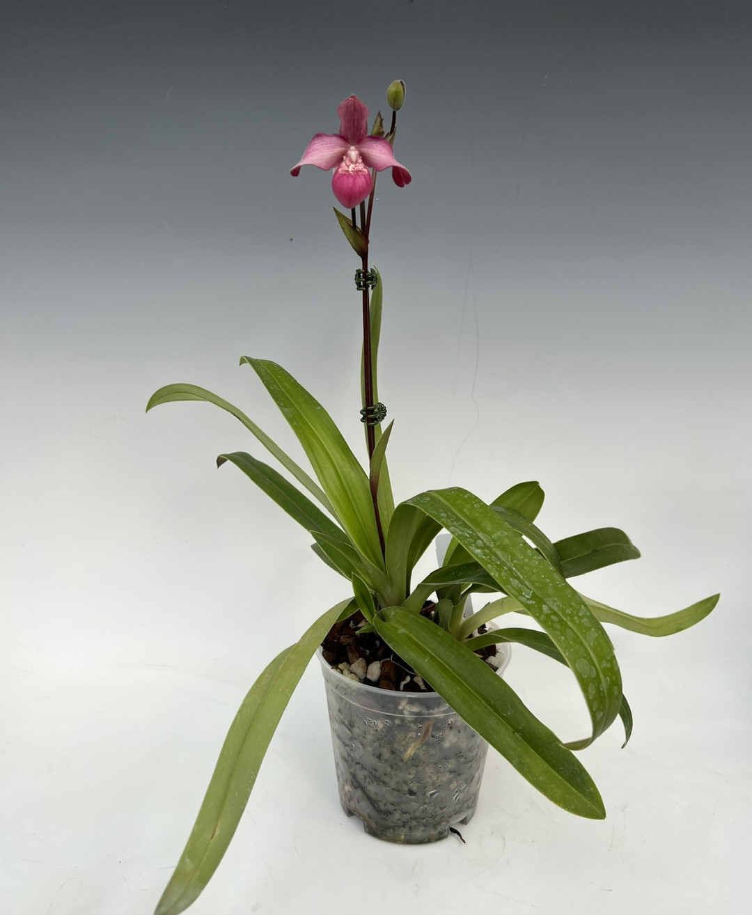 5ca6e7b9-0a03-4824-b7ec-551750b11795