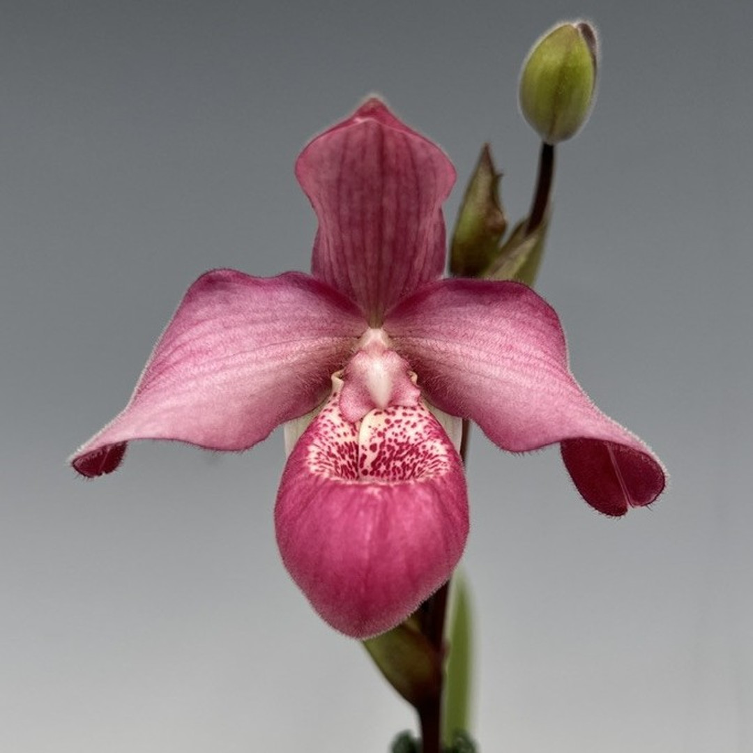 640a47b0-c0b5-4095-b356-57ded55eb6dc