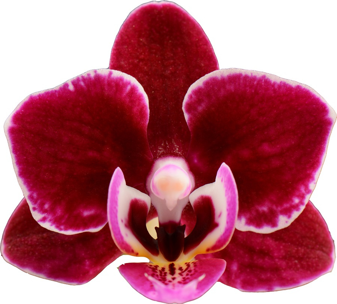 a3216560-8d7e-4350-be46-db401d2a8659