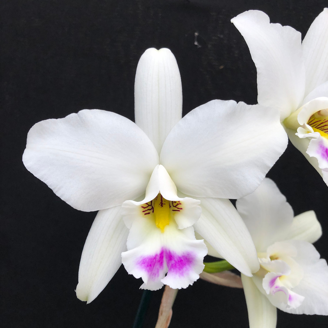 f7ffcb88-29c3-42dd-968e-166821282540