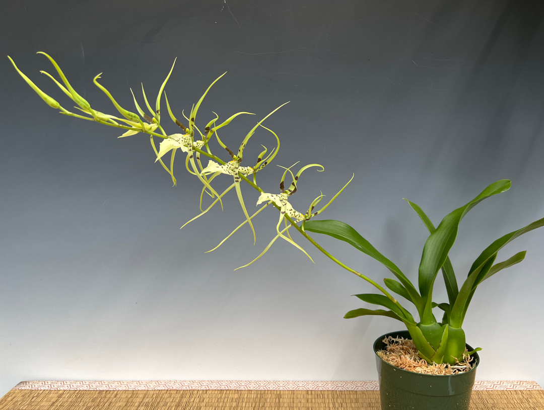 4788bcb7-60fc-4d48-9f6f-f1aa18adad85