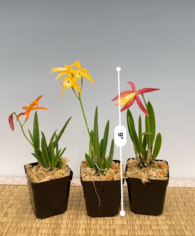 f2610479-f938-45c0-b558-dd8a35b2ca61