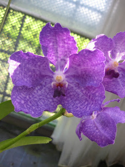 0ceb4d89-b694-493f-a4f9-64151a9bf79d