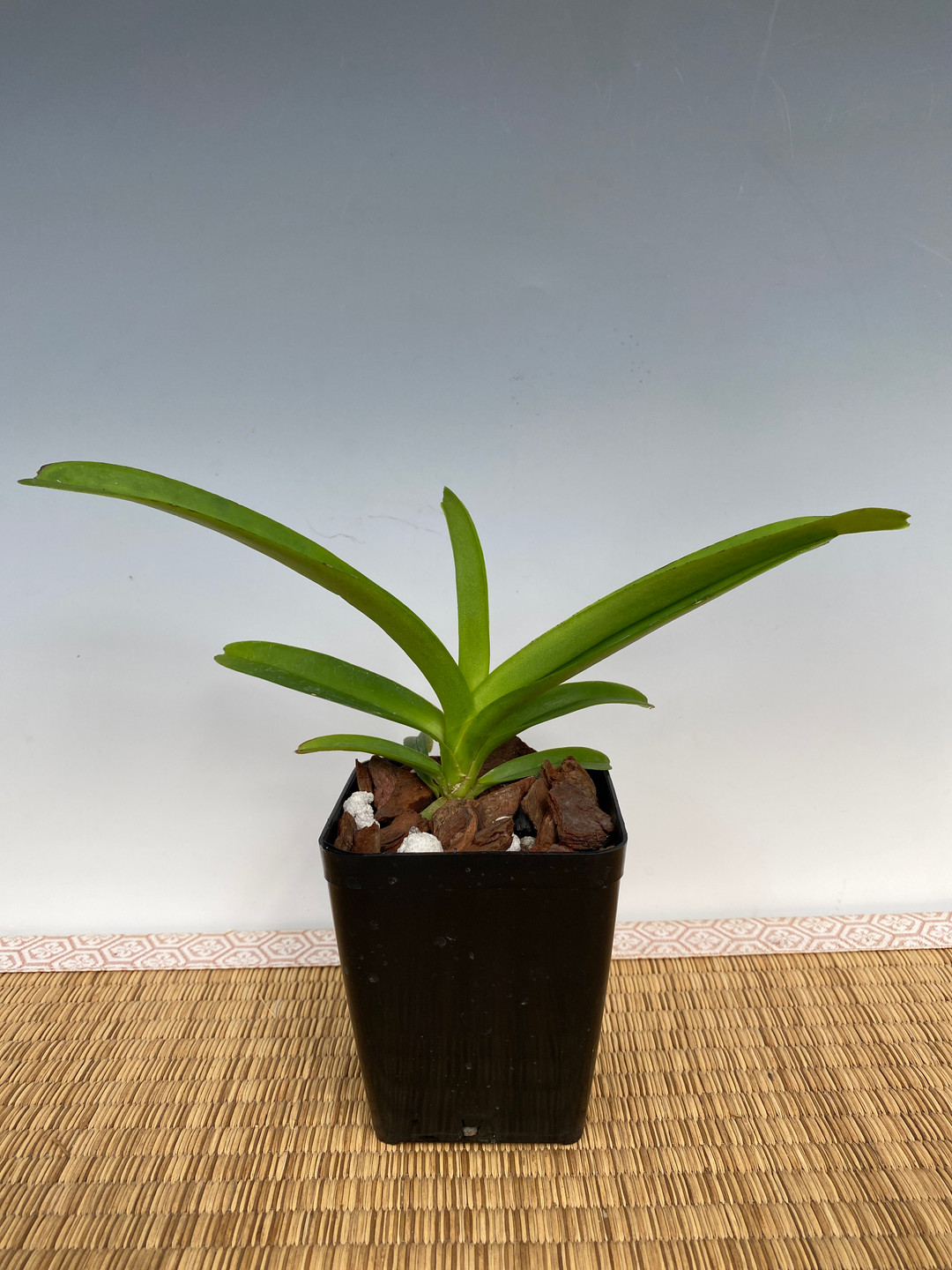 d48b27b1-42ca-4550-a8bb-f45f46144fa6